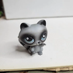 Littlest Pet Shop #196 Procione Occhi Blu Nero Grigio LPS Hasbro - Foto 1 di 4