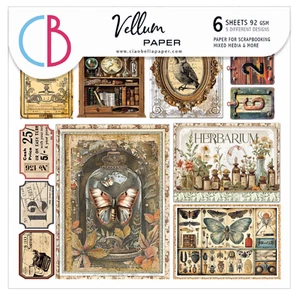 Ciao Bella Kuriositätenschrank 6"x 6" Pergament pingelig geschnitten Set botanisch Vintage - Bild 1 von 7