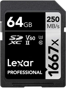 Professional 1667X Scheda SD 64 GB, Scheda Di Memoria SDXC UHS-II, Fino a 250 Mb - Foto 1 di 12