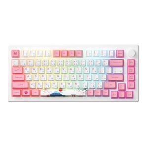Magnetic Switches Rapid Trigger Gaming Keyboard, MOD007B HE PC World Tour Tok... - Picture 1 of 7
