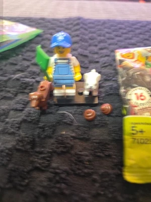 LEGO Series 19 Collectible Minifigures 71025 - Dog Sitter - Image 1 of 4