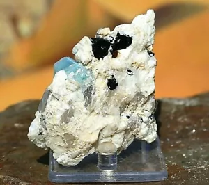 Blue Aquamarine / Beryl Superb Crystals in Albite Matrix - Mineral Specimen 166g - Picture 1 of 8