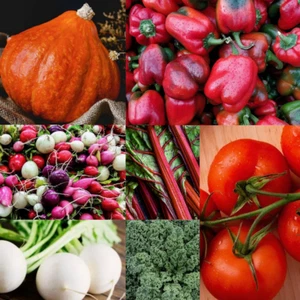 500+ Heirloom Vegetable Seed 7 Variety Garden Set #6 Grow Your Groceries NonGMO  - Picture 1 of 9