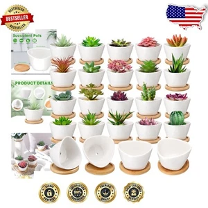 Stylish White 24-Pack Mini Succulent Pots with Drainage for Indoor/Outdoor Use - Picture 1 of 8