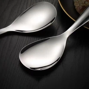 2pcs Nonstick Stainless Steel Rice Spoon Set for Household Kitchen Use - Picture 1 of 12