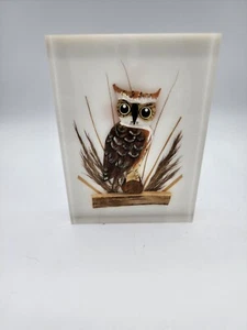 Vintage Colored Wood Owl on Branch in Lucite Picture MCM - Picture 1 of 5