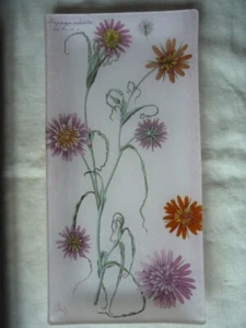 Fringe Studio Glass tray Tragopogon undulatus Plant flower - Picture 1 of 5