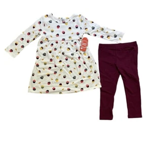 Wonder Nation Girls Acorn Leaves Fall Dress And Leggings Size 24 Months NWT - Picture 1 of 3