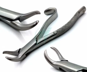 O.R GRADE HIGH GRADE COW HORN LOWER MOLAR DENTAL TOOTH EXTRACTING FORCEPS #16 - Picture 1 of 12