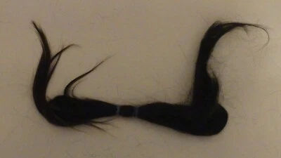 Cola de caballo cabello humano 22 pulgadas negra recta corte fresco Filipinas Foto 1 de 2