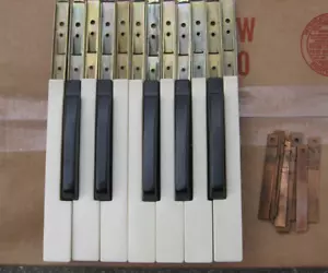 1 volle Oktave CONN Orgelnotentasten 633 und viele andere oder Musikhandwerksprojekte - Bild 1 von 4