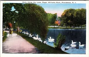 Providence RI-Rhode Island Roger Williams Park, lungo il lago cartolina d'epoca - Foto 1 di 2