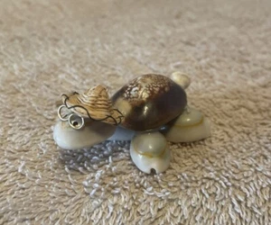 Cute Handmade Seashell Turtle with Wire Glasses Hat/Philippines - Picture 1 of 6