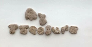 Pietre da spiaggia naturali a forma di lettera IL MIO TESORO parole rocce ciottoli arte artigianato strega - Foto 1 di 10
