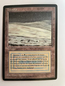 EX MTG Magic the Gathering Revised Edition FBB French Tundra Dual Land - Picture 1 of 4