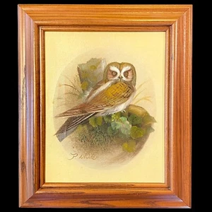 Owl Oil Painting Wood Framed Canvas MCM 1971 Original Signed 13.5”x11” EUC VTG - Picture 1 of 10