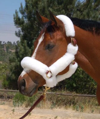 Halter de envío Mary's Walsh con herrajes de latón macizo Foto 1 de 2