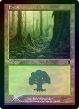 Forest 348 - Foil New MTG Odyssey Magic 2B3