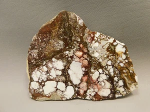 Wild Horse Polished Stone Slab Magnesite Arizona Rock #O12 - Picture 1 of 5
