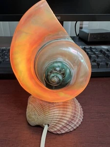 WEISS PERLMUTT TURBO MUSCHEL KÜCHE BAD NACHTLICHT MARITIM DEKOR - Bild 1 von 11