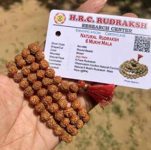 CERTIFICADO LABORATORIO Raro 6 Cuentas de Oración Mukhi RUDRAKSHA Rudraksh Mala 108+1 - Imagen 1 de 5