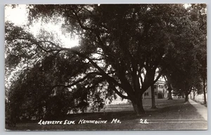 RPPC Huge Lafayette Elm Kennebunk ME UNP - Picture 1 of 2