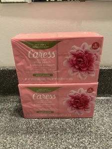 2 6er Packungen (12 Riegel) Caress Daily Silk Bar Seife weiß Pfirsich Orangenblüte - Bild 1 von 3