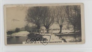 1924 Cavanders The Homeland Series Tobacco Hand-Coloured Small #20