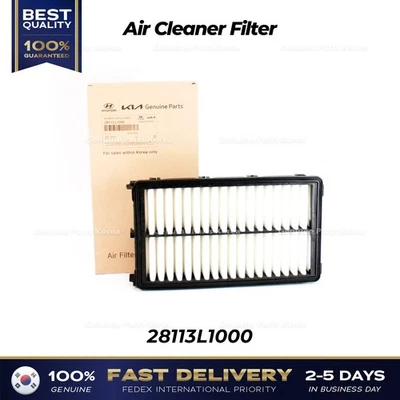 ⭐Genuino⭐ Filtro de aire 28113L1000 para Hyundai Santa Cruz Kia Sorento Foto 1 de 4