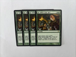 MTG 4X KOREAN DARK ASCENSION LOST IN THE WOODS NM MAGIC THE GATHERING RARE - Picture 1 of 6