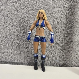 WWE Michelle McCool Series 7 Wrestling Action Figure Mattel 2010 - Picture 1 of 13