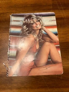 Collectible Vintage Farrah Fawcett Picture Bathing Suit 1977 - Imagen 1 de 2