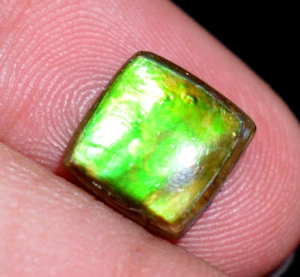 Natural Rare Ammolite Gemstone Cabochon 1.70 Ct Loose Ammolite Gemstone  - Picture 1 of 5