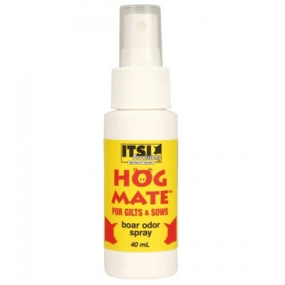 ITSI PROVISIONS Hog Mate for Gilts & Sows Boar Odor Spray 40mL