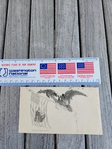 Magnus Civil War Patriotic Cover American Eagle. - Picture 1 of 2