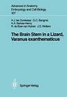 The Brain Stem In A Lizard, Varanus Exanthematicus.9783540179481 Free Shipping<|