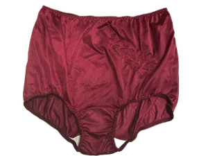 (2) Ventura Nylon Brief Panties Decorative Applique Plus Size 16 / 9X BURGUNDY - Picture 1 of 2