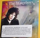 The Waterboys - Sweet Dancer (1 Trk PROMO CD) Card Sleeve