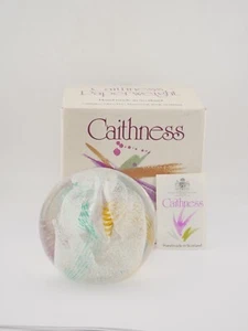 Beautiful Mint in Box With Certificate Caithness Paperweight Daydreams - Picture 1 of 4
