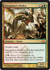 4x MTG Savageborn Hydra, Light Play, English Dragon's Maze