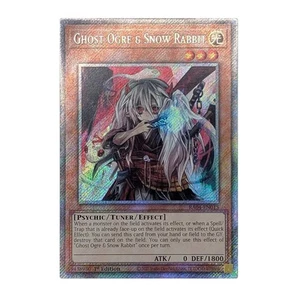 Yu-Gi-Oh! Geisteroger & Schneehase (Platinum Secret Rare) - Quarter Century Stam - Bild 1 von 1