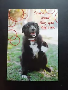 Funny Birthday Card - Picture 1 of 4