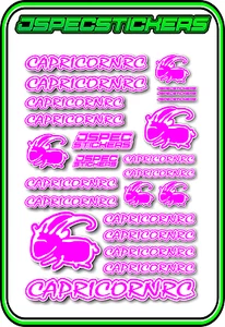 CAPRICORN RC STICKER A5 LAB 1/8 F1 1/10 TESLA ELECTRIC NITRO CAR HARD PINK W - Picture 1 of 9