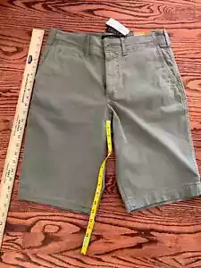 NEW American Eagle Extreme Flex Shorts Green "Longer Length" Size 30 NWT - Picture 1 of 7