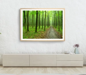 Trees & Forest Print, Plants Wall Art, Forest Framed Nature Wall Art, Natural - Foto 1 di 5