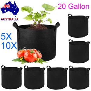 5/10PCS 20 Gallon Large Plant Grow Bag Potato Fabric Pots Grow Bags with Handles - Picture 1 of 12