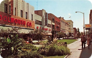 KALAMAZOO MI BURDICK ST PEDESTRIAN MALL WOOLWORTH WT GRANT STORES POSTCARD 05252 - Bild 1 von 2