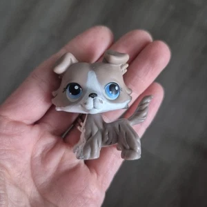 Authentic Littlest Pet Shop #67 Collie Dog / Original Hasbro LPS - Picture 1 of 2