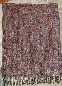 Multicolor Scarf 27x70 Inch Shawl Fringe Cotton Acrylic Paisley - Picture 1 of 9