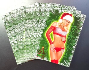 2006 BENCH WARMER HOLIDAY CHASE CARD SET - 24 CARDS - NM - Picture 1 of 1